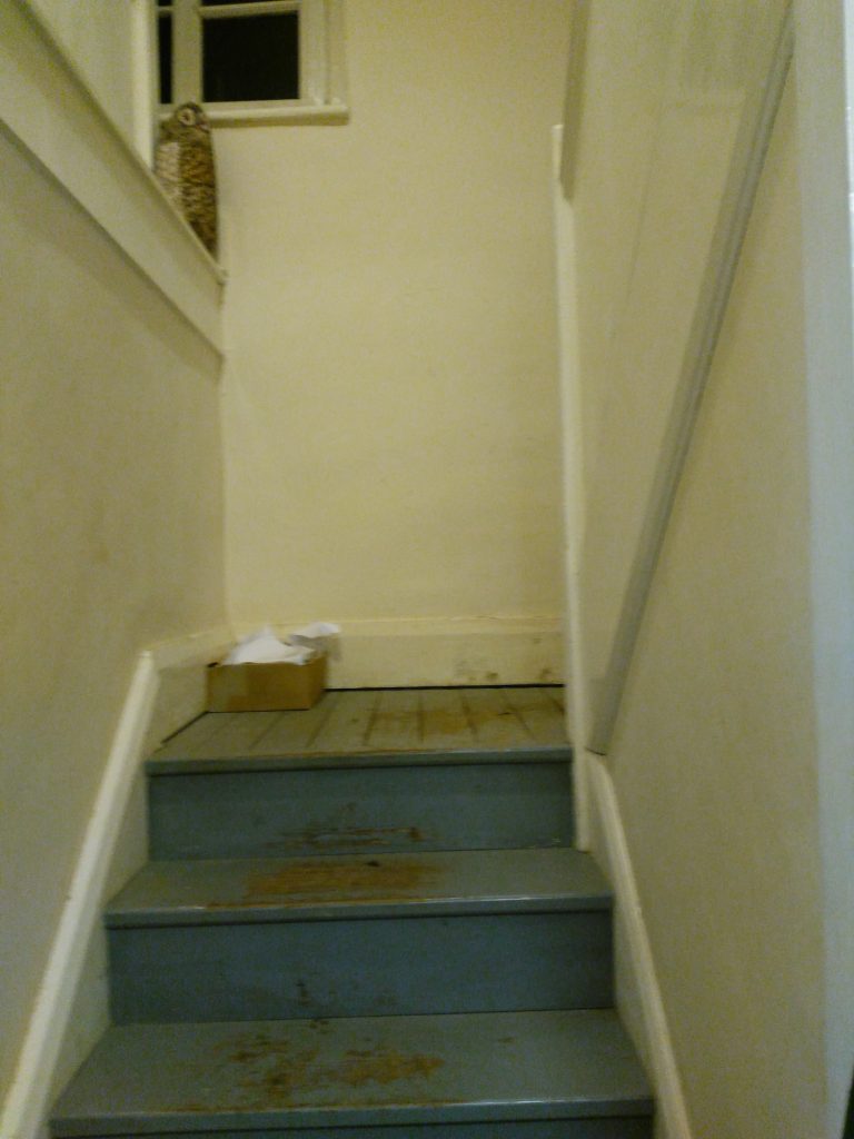 The narrow, muddy staircase up.