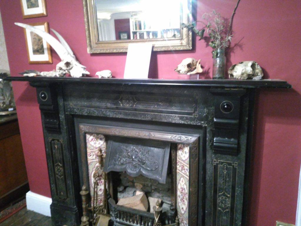 fireplace covered in animal skulls