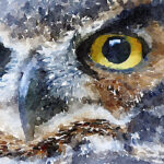owl watercolour